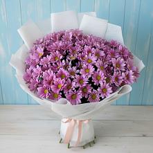 Букет цветов из:  Хризантемы в Дмитриевском Республики Адыгея