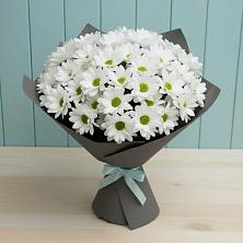 Букет цветов из:  Хризантемы в Дмитриевском Республики Адыгея