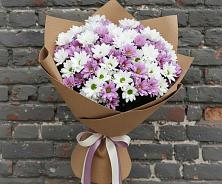 Букет цветов из:  Хризантемы в Дмитриевском Республики Адыгея