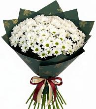 Букет цветов из:  Хризантемы в Дмитриевском Республики Адыгея