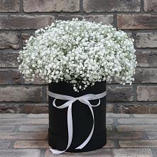Цветочная композиция из Гипсофила в шляпной коробке #REPLACE_PRED# Дмитриевском Республики Адыгея